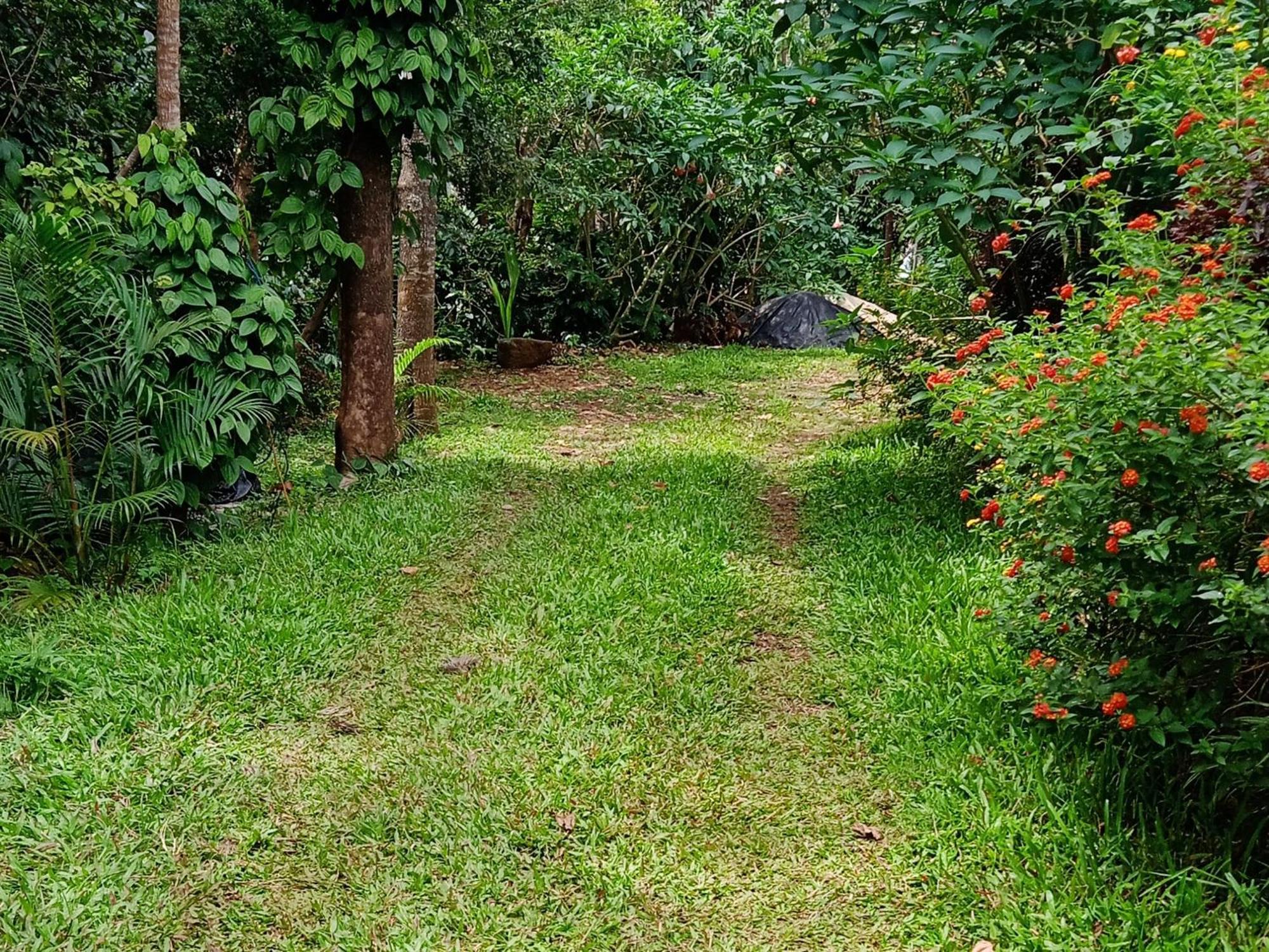 Farmer Homestay Yercaud Exterior foto
